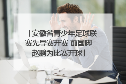 安徽省青少年足球联赛先导赛开赛 前国脚赵鹏为比赛开球