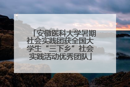 安徽医科大学暑期社会实践团获全国大学生“三下乡”社会实践活动优秀团队