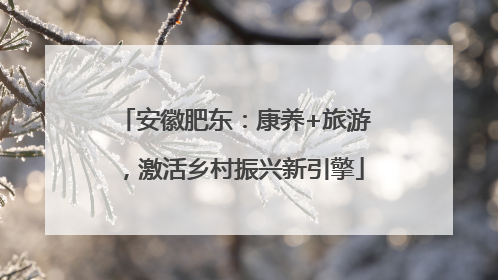 安徽肥东：康养+旅游，激活乡村振兴新引擎
