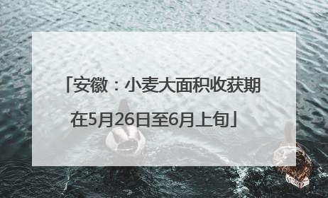 安徽：小麦大面积收获期在5月26日至6月上旬