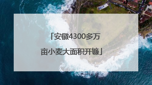 安徽4300多万亩小麦大面积开镰