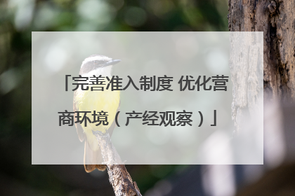 完善准入制度 优化营商环境（产经观察）