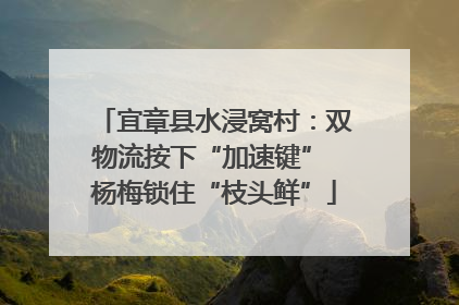 宜章县水浸窝村：双物流按下“加速键” 杨梅锁住“枝头鲜”