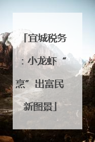 宜城税务：小龙虾“烹”出富民新图景