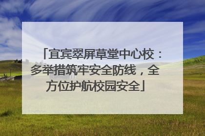 宜宾翠屏草堂中心校：多举措筑牢安全防线，全方位护航校园安全