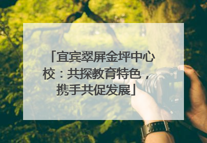 宜宾翠屏金坪中心校：共探教育特色，携手共促发展