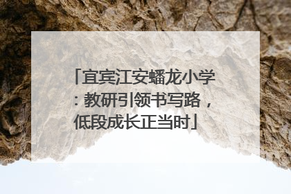 宜宾江安蟠龙小学：教研引领书写路，低段成长正当时