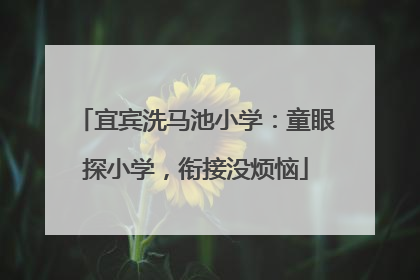 宜宾洗马池小学：童眼探小学，衔接没烦恼