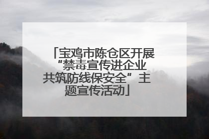 宝鸡市陈仓区开展“禁毒宣传进企业 共筑防线保安全”主题宣传活动