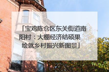 宝鸡陈仓区东关街道南阳村：大棚经济结硕果 绘就乡村振兴新图景