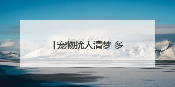 宠物扰人清梦 多方合力化解纠纷