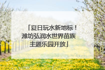 夏日玩水新地标！潍坊弘润水世界苗族主题乐园开放