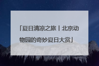 夏日清凉之旅丨北京动物园的奇妙夏日大赏
