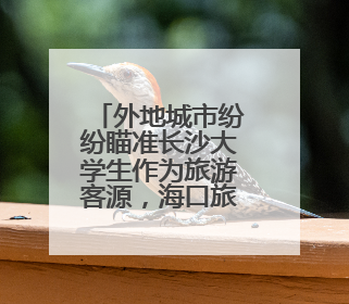 外地城市纷纷瞄准长沙大学生作为旅游客源，海口旅文推广走上星城街头