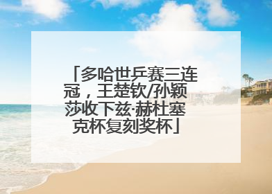 多哈世乒赛三连冠，王楚钦/孙颖莎收下兹·赫杜塞克杯复刻奖杯