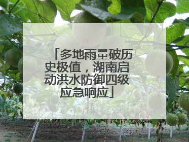 多地雨量破历史极值，湖南启动洪水防御四级应急响应