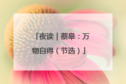 夜读｜蔡皋：万物自得（节选）