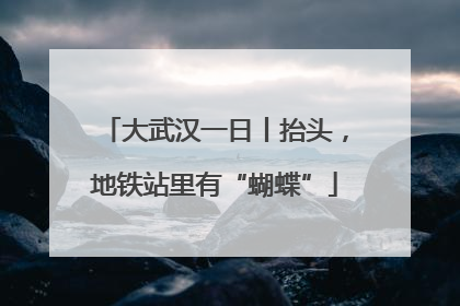 大武汉一日丨抬头，地铁站里有“蝴蝶”
