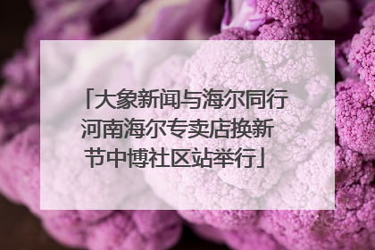大象新闻与海尔同行 河南海尔专卖店换新节中博社区站举行