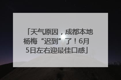 天气原因，成都本地杨梅“迟到”了！6月5日左右迎最佳口感