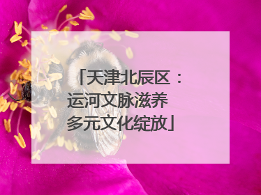 天津北辰区：运河文脉滋养 多元文化绽放