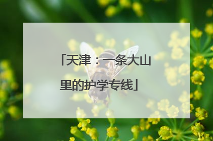 天津：一条大山里的护学专线
