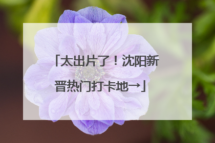 太出片了！沈阳新晋热门打卡地→
