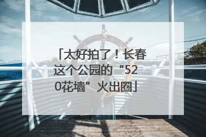 太好拍了！长春这个公园的“520花墙”火出圈