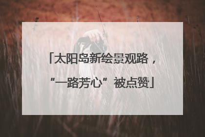 太阳岛新绘景观路，“一路芳心”被点赞