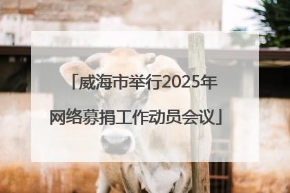 威海市举行2025年网络募捐工作动员会议