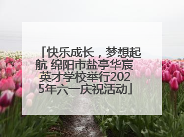 快乐成长，梦想起航 绵阳市盐亭华宸英才学校举行2025年六一庆祝活动