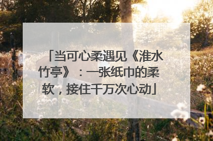 当可心柔遇见《淮水竹亭》：一张纸巾的柔软，接住千万次心动