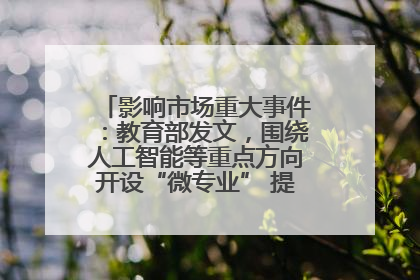影响市场重大事件：教育部发文，围绕人工智能等重点方向开设“微专业” 提升就业能力
