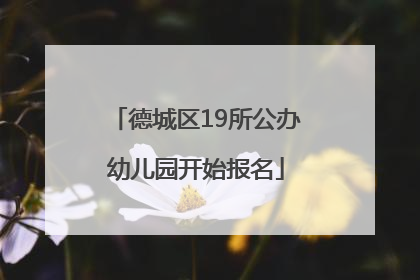 德城区19所公办幼儿园开始报名