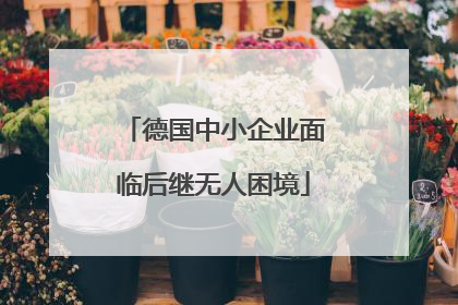 德国中小企业面临后继无人困境