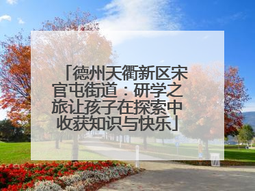 德州天衢新区宋官屯街道：研学之旅让孩子在探索中收获知识与快乐