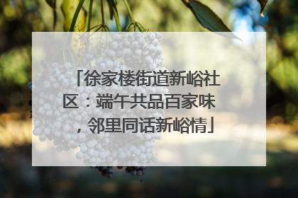 徐家楼街道新峪社区：端午共品百家味，邻里同话新峪情