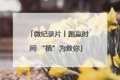 微纪录片丨跑赢时间 “植”为救你
