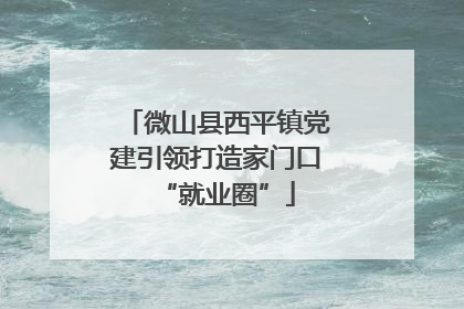 微山县西平镇党建引领打造家门口“就业圈”