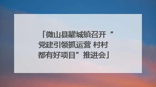 微山县驩城镇召开“党建引领抓运营 村村都有好项目”推进会