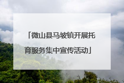 微山县马坡镇开展托育服务集中宣传活动