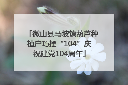 微山县马坡镇葫芦种植户巧摆“104”庆祝建党104周年