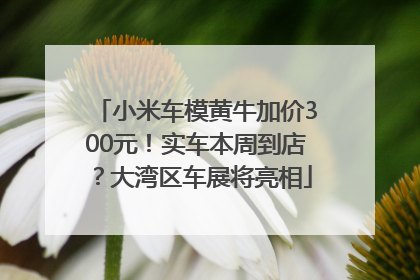 小米车模黄牛加价300元！实车本周到店？大湾区车展将亮相
