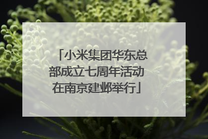 小米集团华东总部成立七周年活动在南京建邺举行