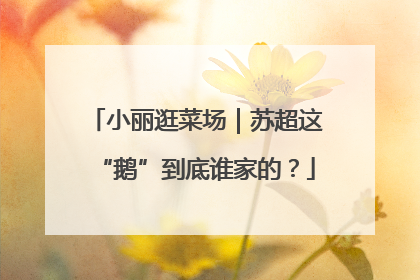 小丽逛菜场｜苏超这“鹅”到底谁家的？