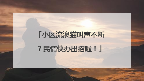 小区流浪猫叫声不断？民情快办出招啦！