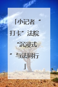 小记者“打卡”法院 “沉浸式”与法同行