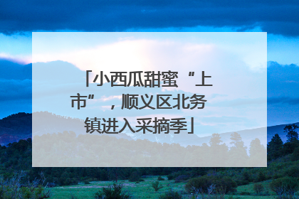 小西瓜甜蜜“上市”，顺义区北务镇进入采摘季