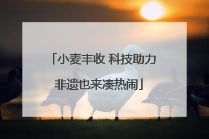 小麦丰收 科技助力 非遗也来凑热闹