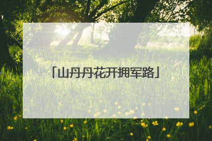 山丹丹花开拥军路